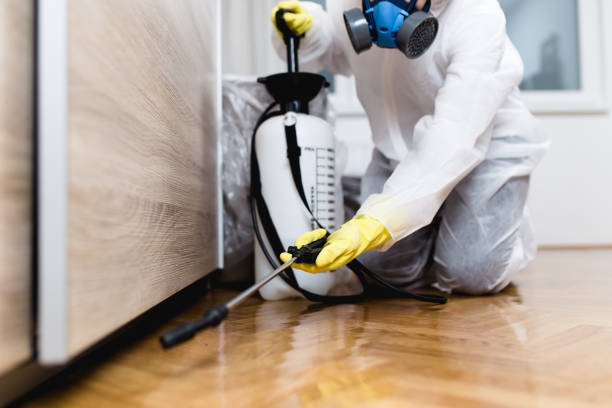 Best Pest Inspection Near Me  in New Mford, IL