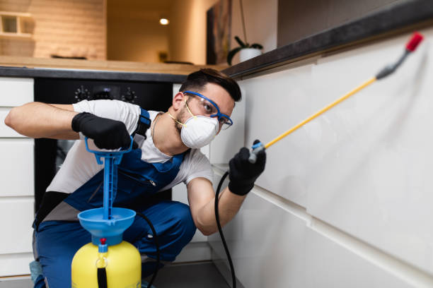 Best Wildlife Control Services  in New Mford, IL