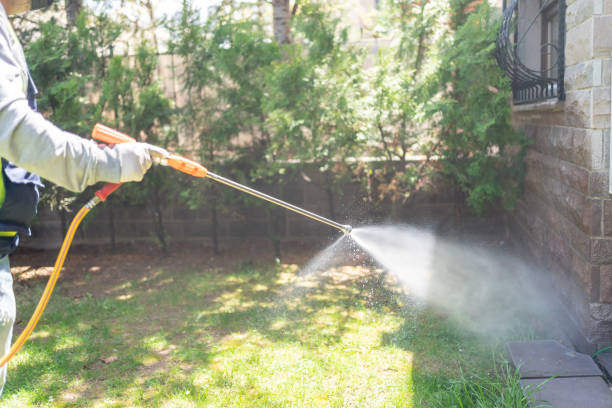 Bird Control in New Milford, IL
