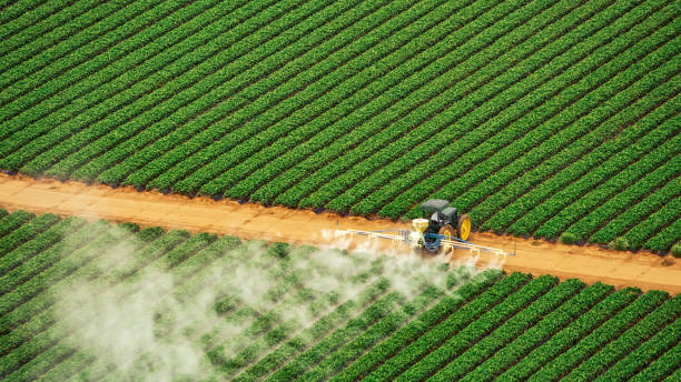 Reliable New Milford, IL Pest Control Solutions