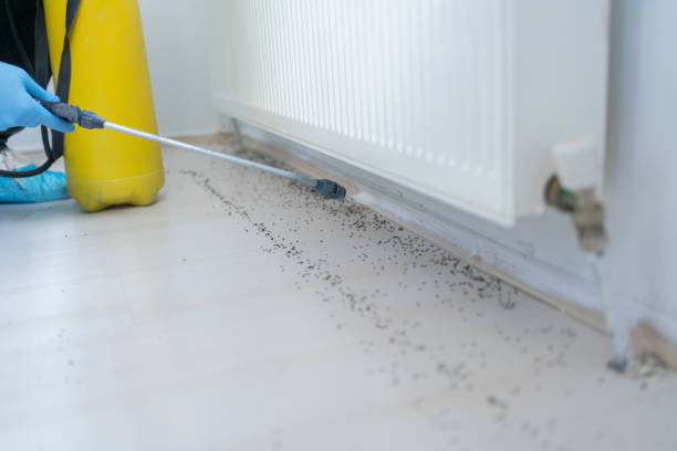 Best Emergency Pest Control  in New Mford, IL