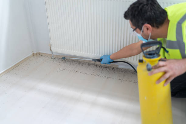 Best Flea Control Services  in New Mford, IL